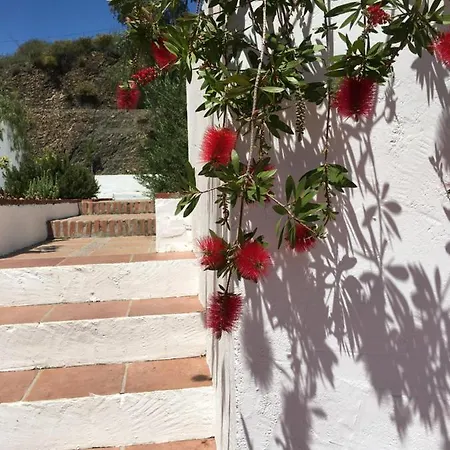 Bed and Breakfast And Cortijo La Zapatera Canillas de Aceituno